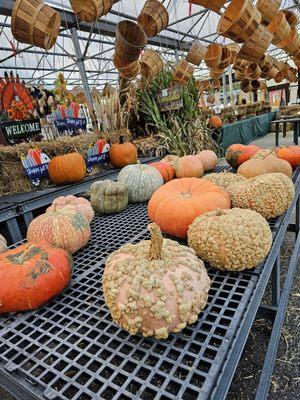 Meyer's Farm Stand