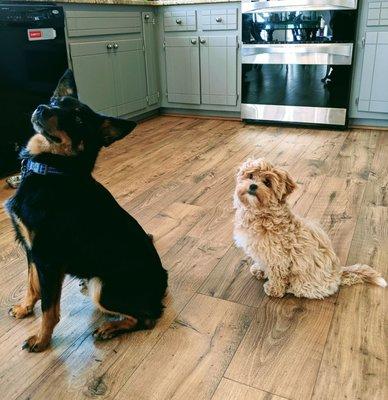 Olivia with her sister Mable