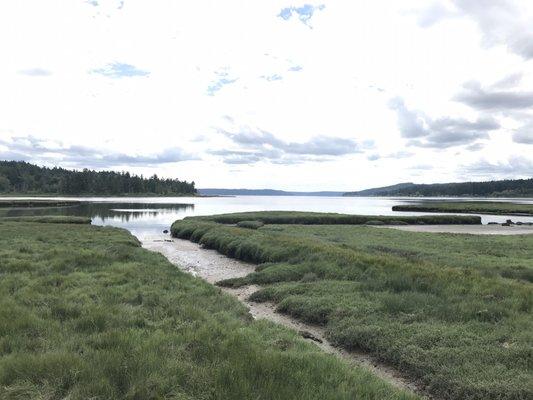 Theler Wetlands