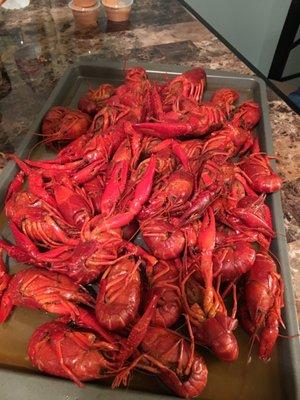 This was my batch, about 2 lbs. In this picture. They were so good, and I'm picky about who's got good crawfish