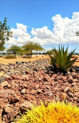 Cactus shaded stones green trees blue sky cottonball clouds