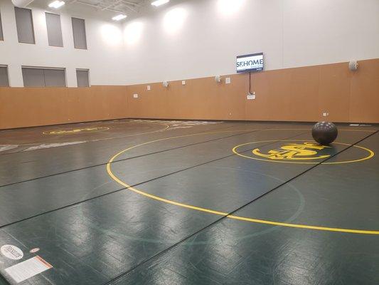 Yoga/wrestling room.