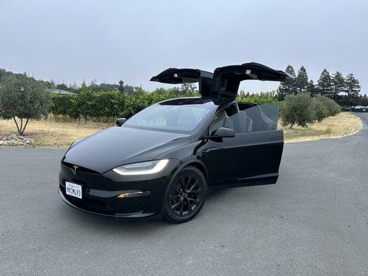 Model x
 7 passengers