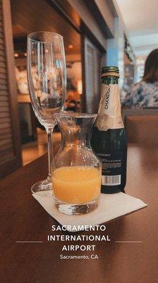 Mimosa