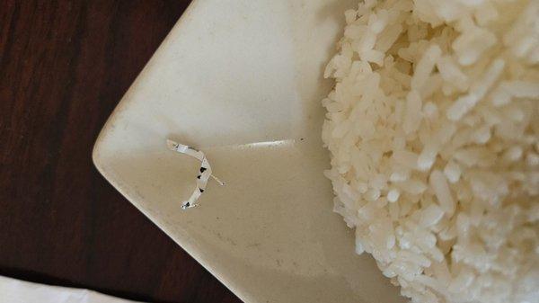 Plastic thing in rice