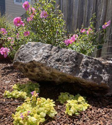 I really like using stones in the landscape. They give a sense of age to the space.