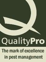 Quality Pro