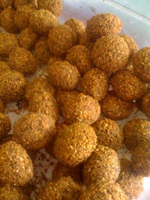 fresh falafel