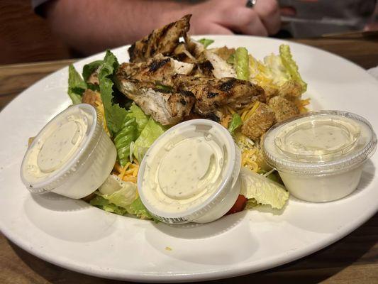 Grilled Chicken Salad