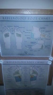 Reflexology charts