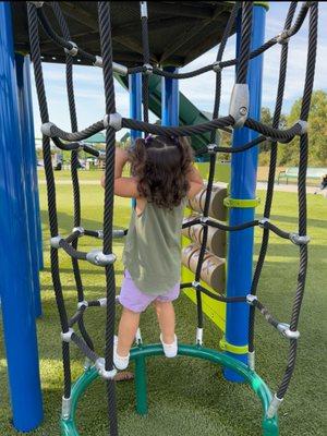 A climbing rope ladder!