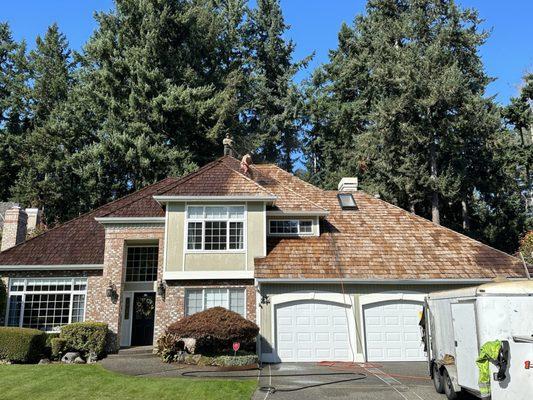 Rainier Roof Restoration