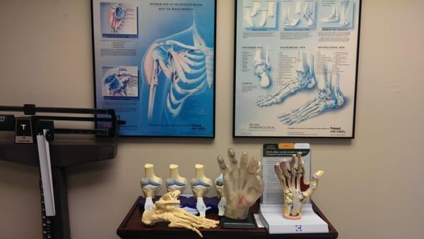 Visuals props of how amd where inflammation is coming from and why.