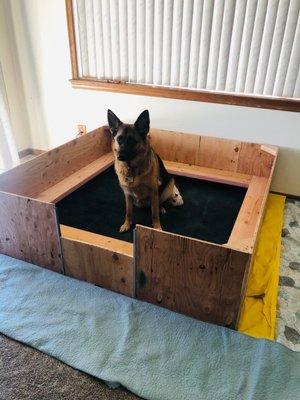 Whelping box sitting on top of a thick quilt, heavy duty plastic tarp, ready for puppies.