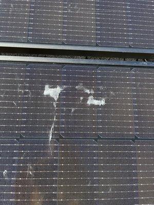 Blackjack sealant on the solar panels