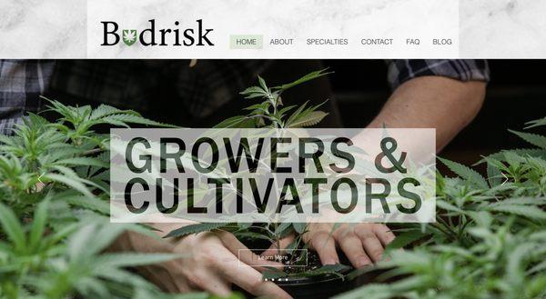 Budrisk website page. We strive to become the #1 trusted insurance resource and an integral part of the cannabis industry's advisory network