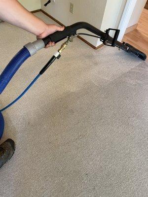 EA Carpet & Home Cleaning