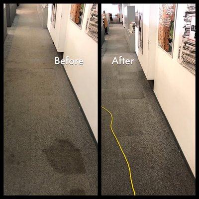 Commercial office space deep cleaning and stain removal.