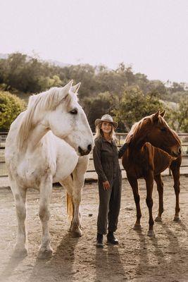 Equine Therapy Horses with Matisse Williams. Equine Guided Retreats and Workshops.