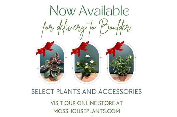 With hundreds of plants and plant products in our collection, we've curated a select few to be available for delivery.