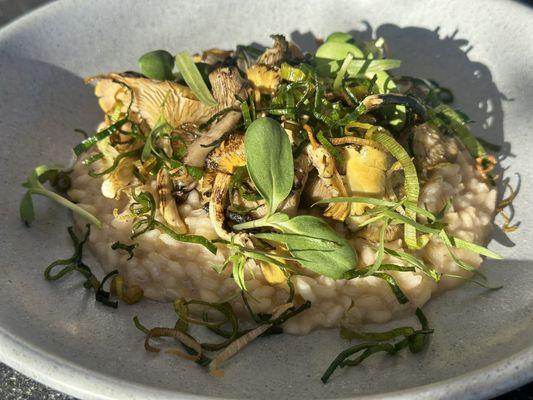 Vegan spring risotto