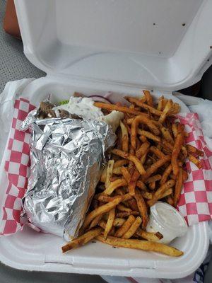 Gyro pita and greek fries