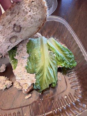 Not chicken salad. Wilted lettuce and nothing else.