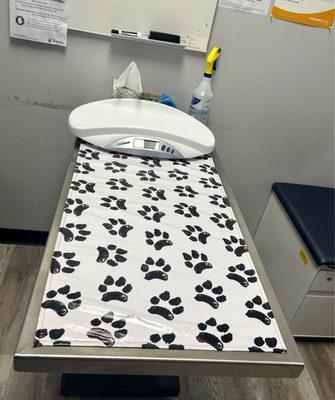 Clean check up rooms