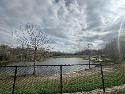 Dog park with space for dogs to jump in pond