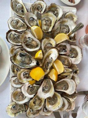 $1 oyster specials on Thursdays