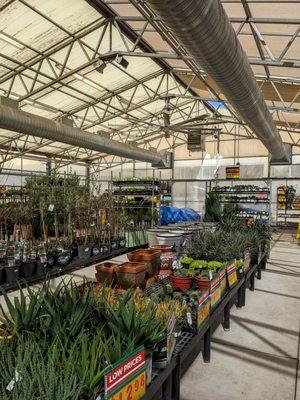 Inside their greenhouse.