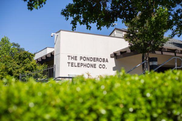 Ponderosa