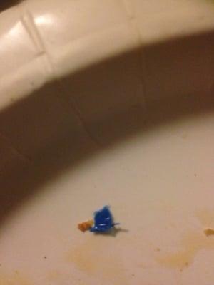 The blue plastic I found in my pizza!