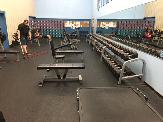 Free weights and benches