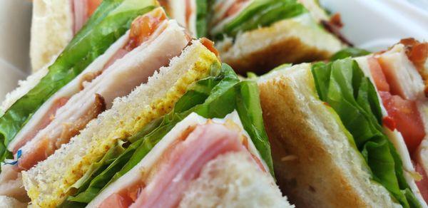 Close up Club Sandwich