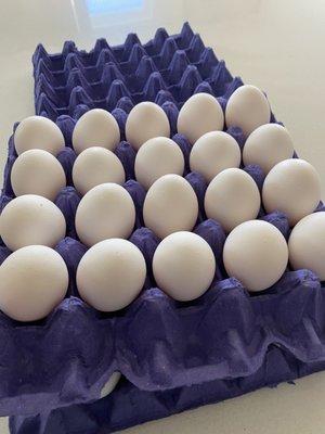 Eggs large