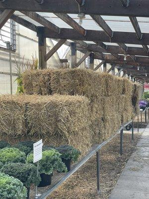 Straw bales, full and half sizes