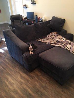 Our pooch loves our custom couch as much as we do!