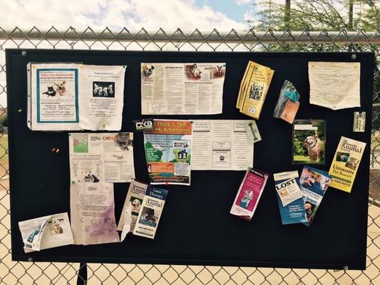 Check the bulletin board for dog services