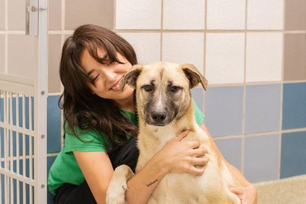 Houston SPCA Adoption Center