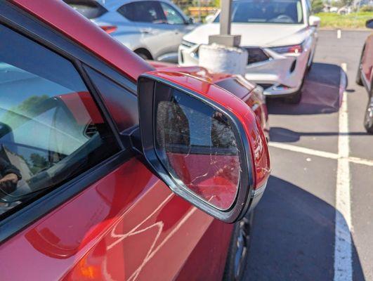 Spider webs in my mirror after a "wash"