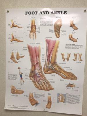 Podiatry Associates of Indiana Foot and Ankle Institute