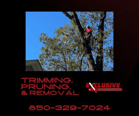 Exclusive Land & Tree Services