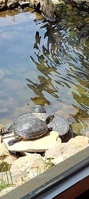 Lakeside Nature Center