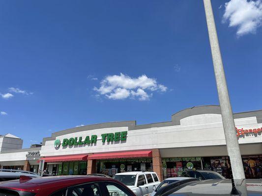 Beautiful day at dollar tree!