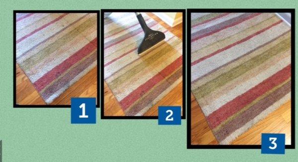 20 yr old Wool rug with several dirty areas.  Pretreated, then cleaned with a hot water extraction process with sanitizer and deodorizer.