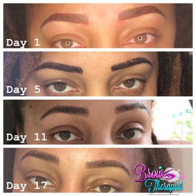 Combination Brows.  This picture demonstrates the healing process following the (combo) Microblading and Microshading Procedure.