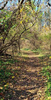 Woodsy Trail