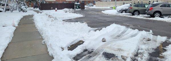 View of lot cleared by coowners for plowing. This is the plowing  that was done.