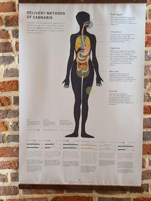 Delivery Methods of Cannabis poster